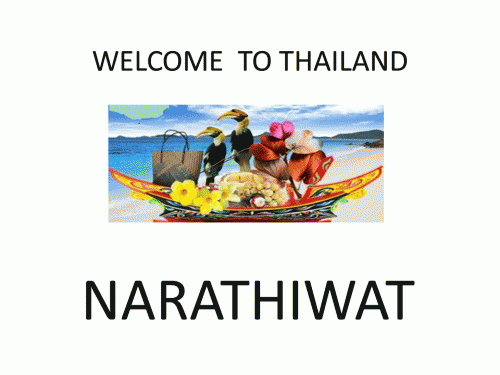 ข้อมูลวิเคราะห์สถานการณ์การท่องเที่ยวจังหวัดนราธิวาส
